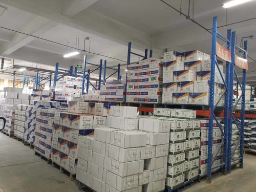 責任民企攜手政府服務，助力泰安抗疫與復工復產