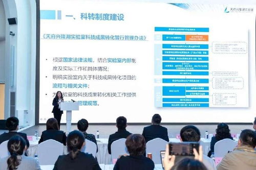 推動更多科技成果就地轉(zhuǎn)化 信息技術(shù)咨詢服務助力國家隊實驗室與大裝置融合發(fā)展