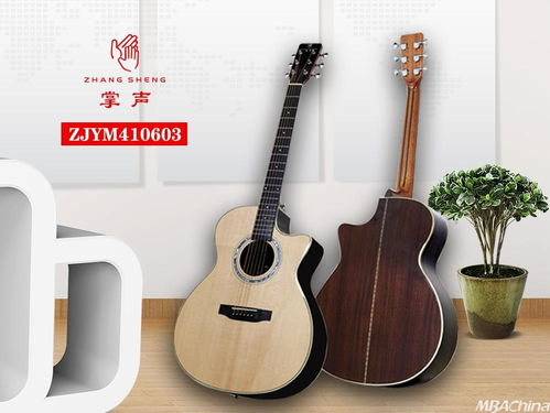 掌聲音樂器 以品牌戰略驅動，布局千萬級市場新藍圖